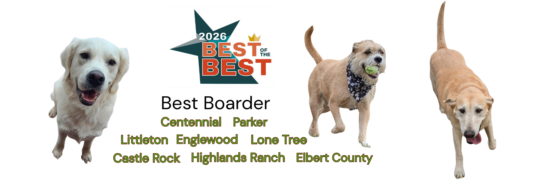 2026 Best of the Best winner in Colorado dog services and dog boarding Daryana's Backyard