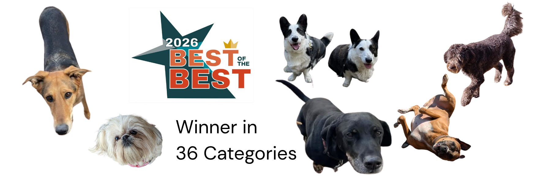 2026 bEST OF THE bEST wINNER