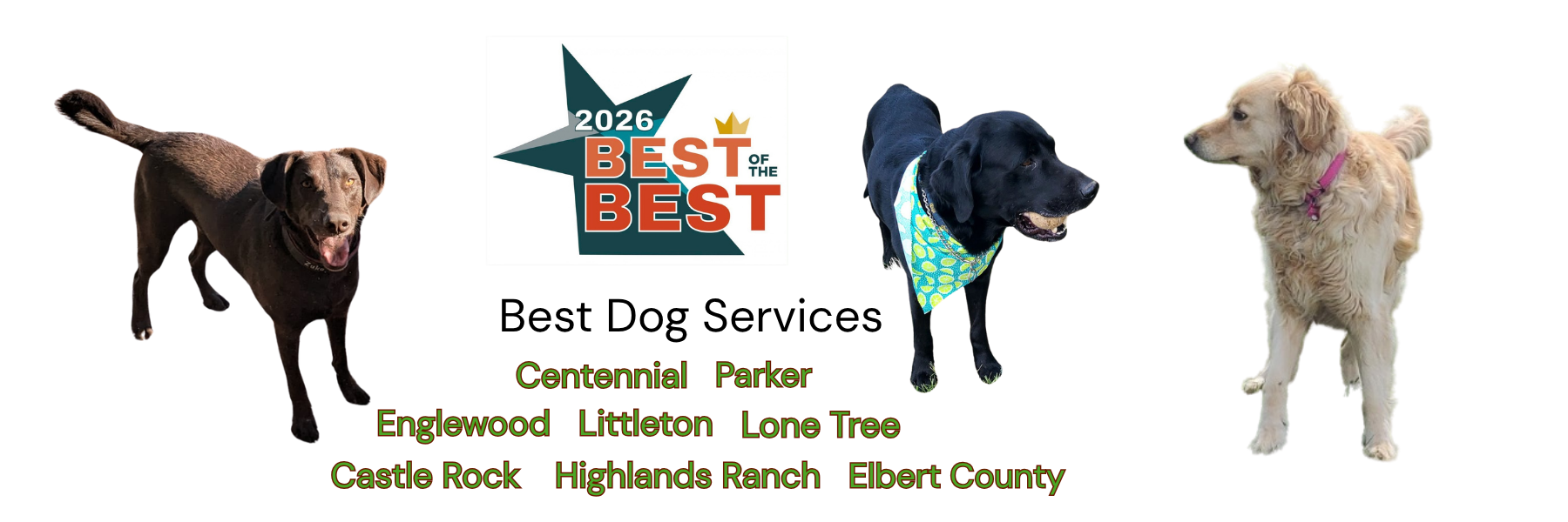 2026 Best of the Best winner in Colorado dog services and dog boarding Daryana's Backyard