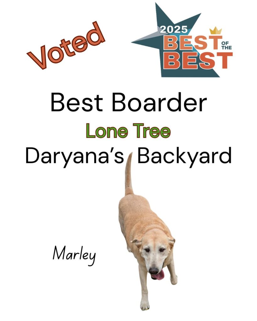 Best of the Best Best Dog Boarder Lone Tree Daryana's Backyard