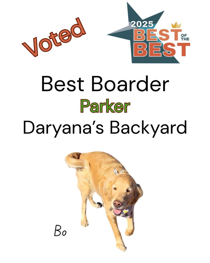 Best of the Best Best Dog Boarder Parker Daryana's Backyard
