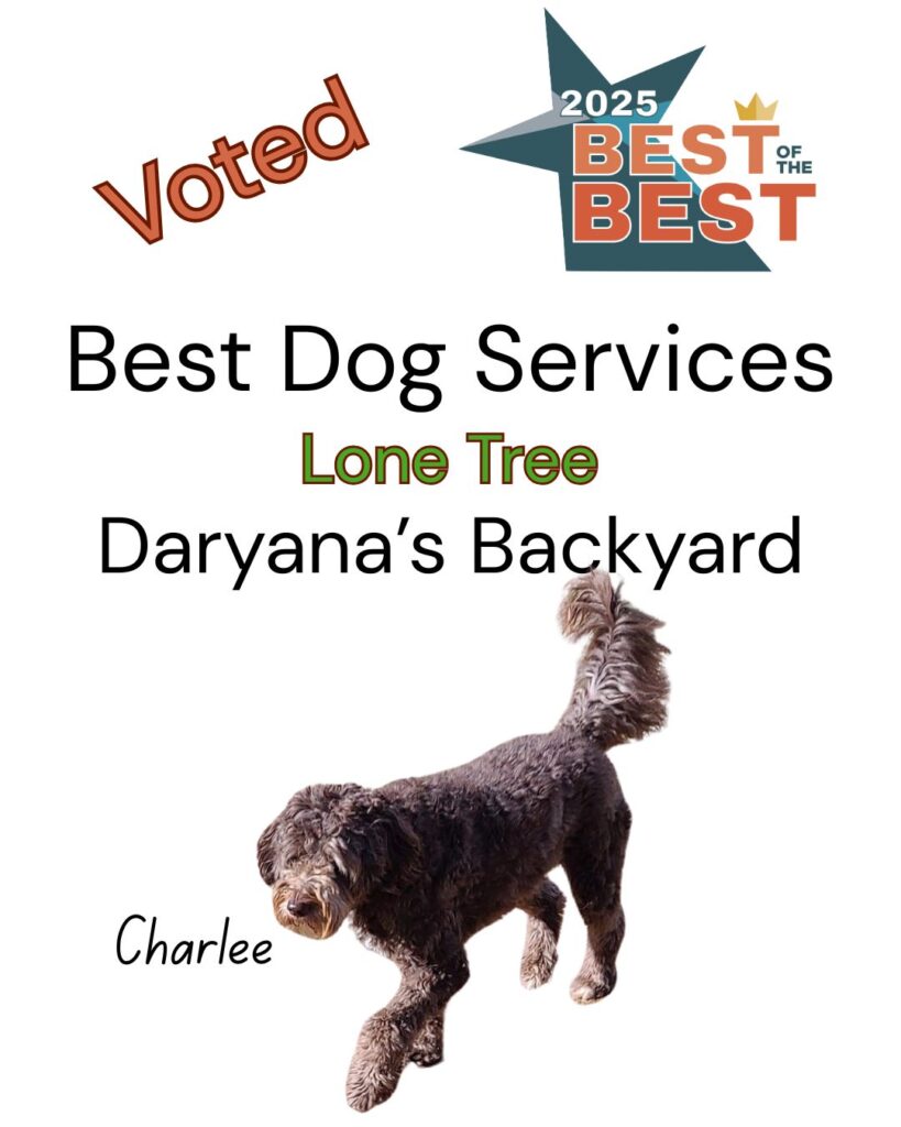 Best of the Best Best Dog Services Lone Tree Daryana's Backyard