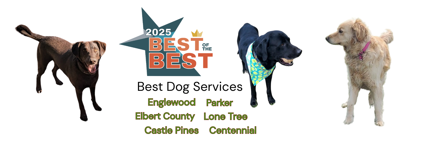 Best of Best 2025 Best Dog Services Centennial Lone Tree Parker Castle Pines Englewood Elbert County