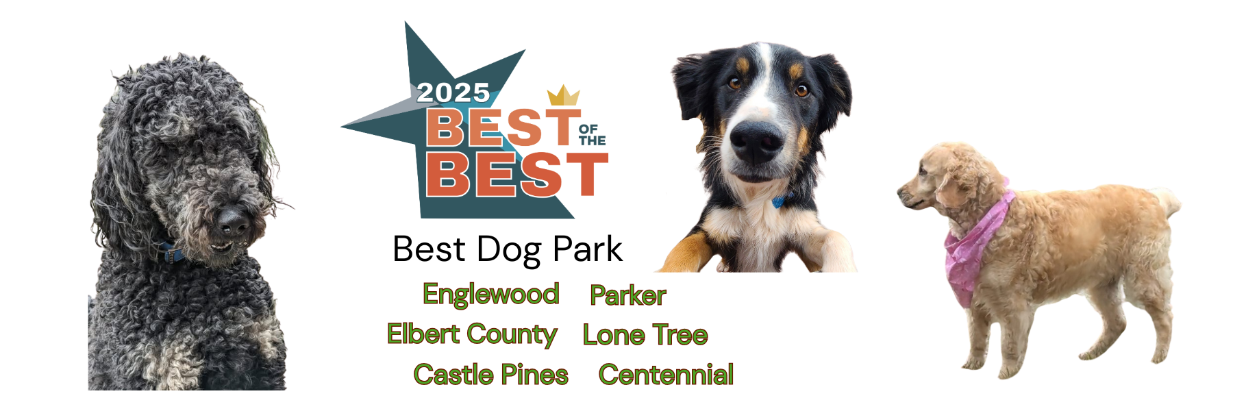 Best of Best 2025 Best Dog Park Centennial Lone Tree Parker Castle Pines Englewood Elbert County