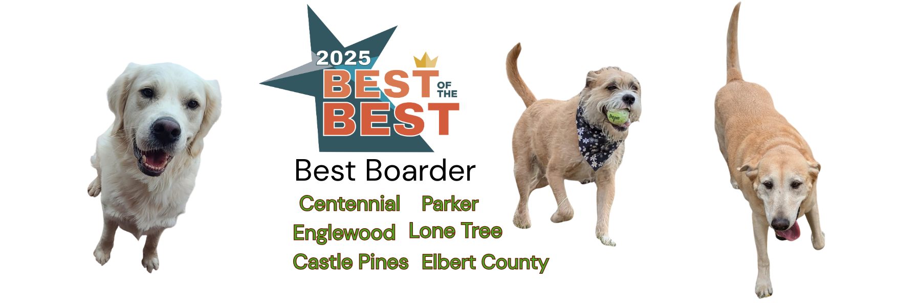 Best Boarder 2025 Awards Centennial Lone Tree Parker Castle Pines Englewood Elbert County