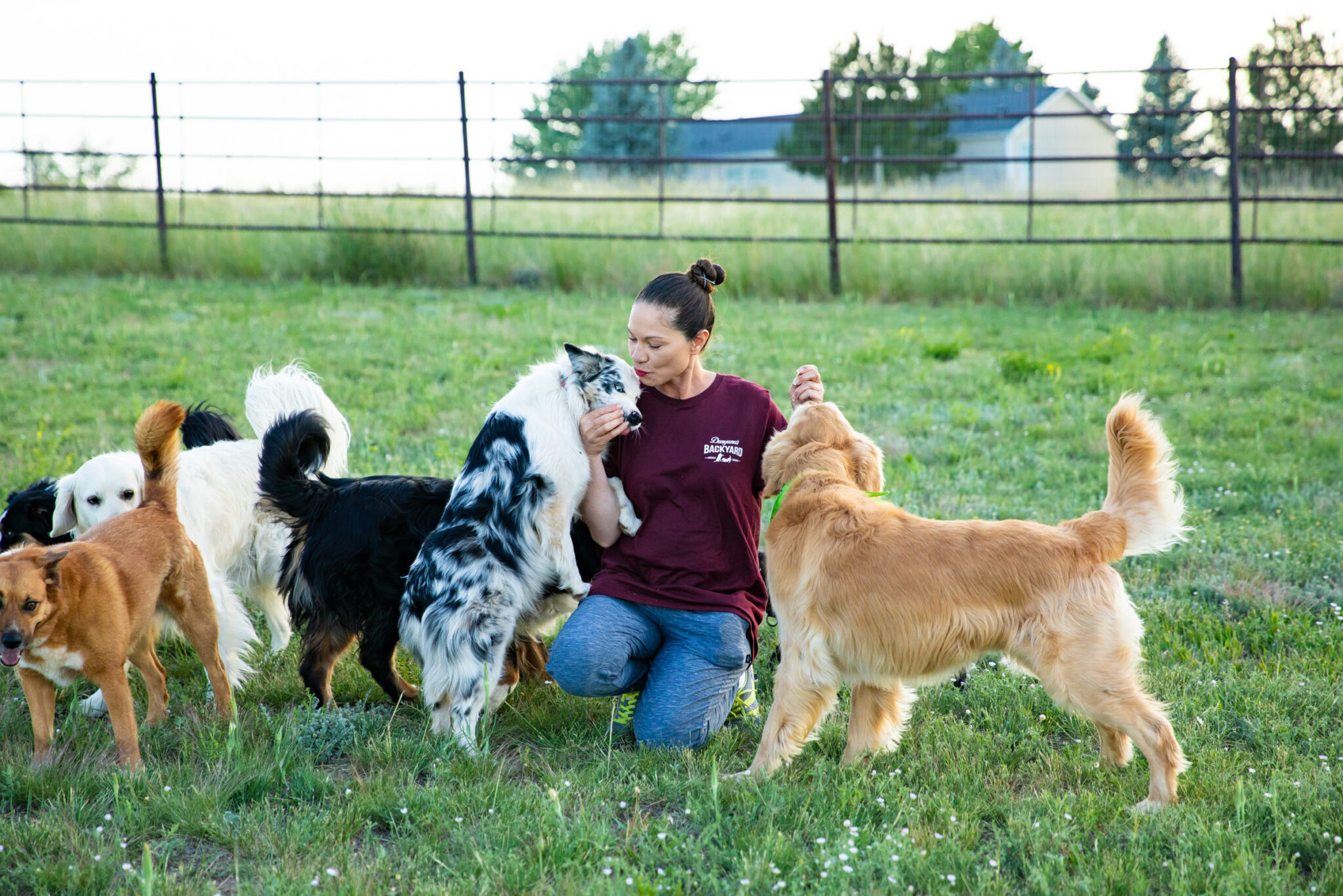 The Ultimate Guide to Choosing the Right Dog Boarding Facility Part 3