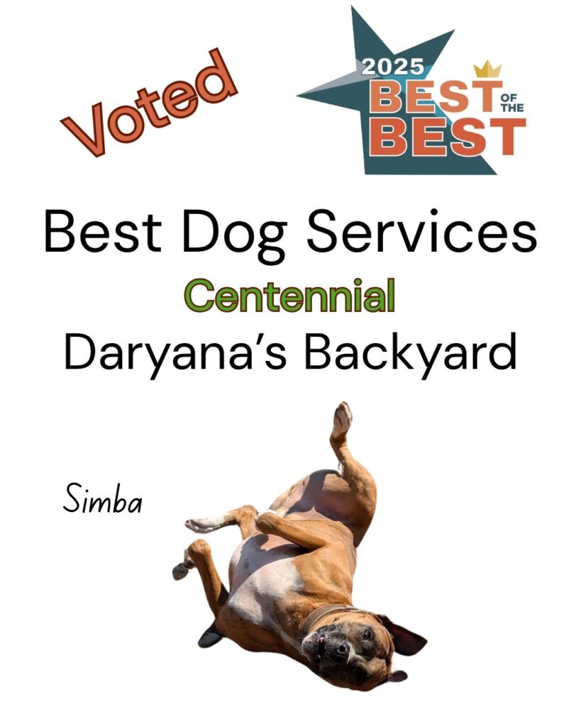 Best of the Best Best Dog Services Centennial Daryana's Backyard