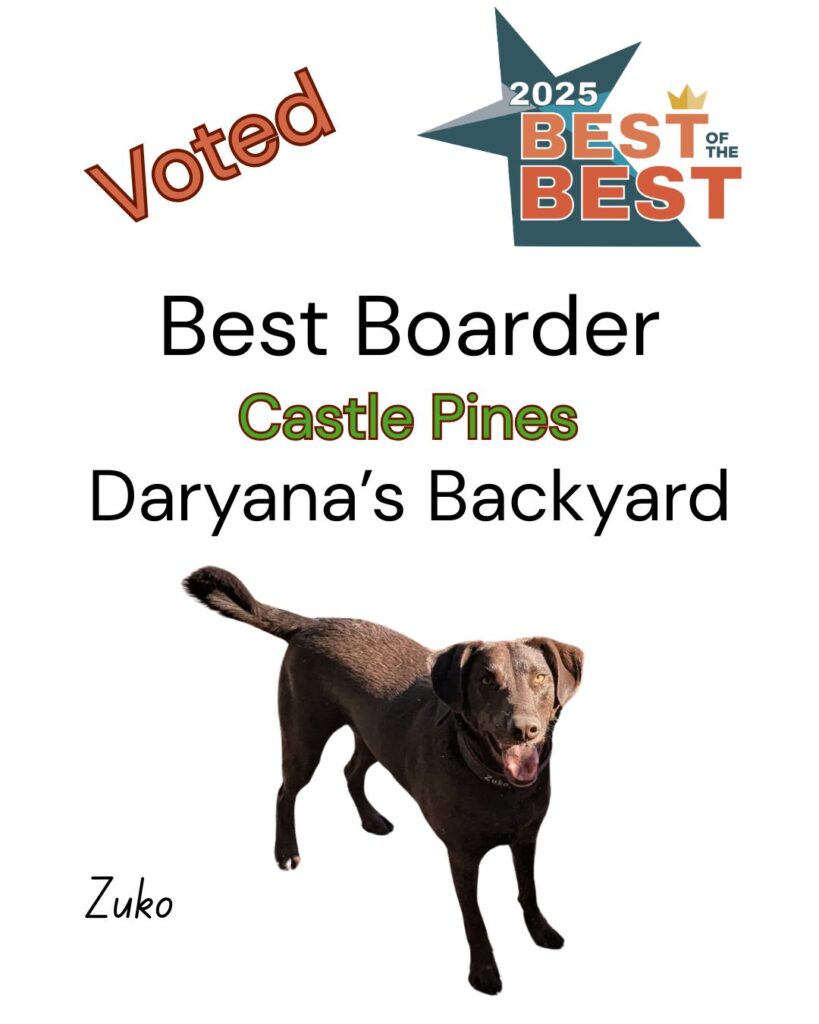 Best of the Best Best Dog Boarder Castle Pines Daryana's Backyard