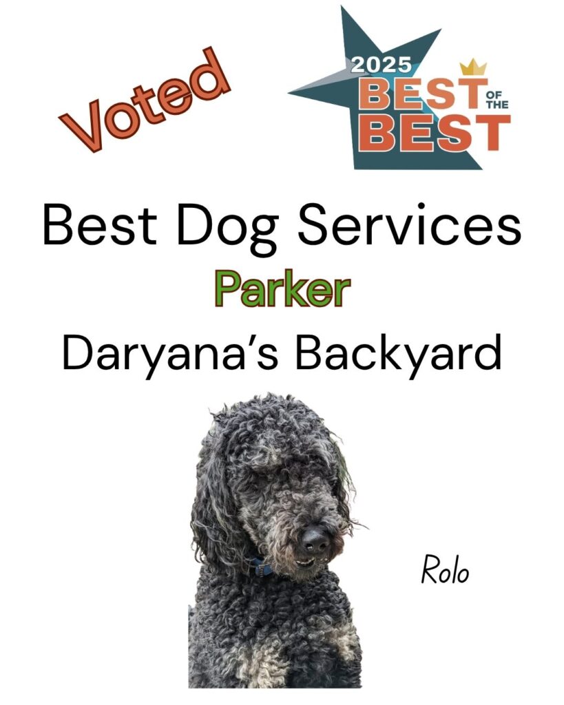 Best of the Best Best Dog Services Parker Daryana's Backyard