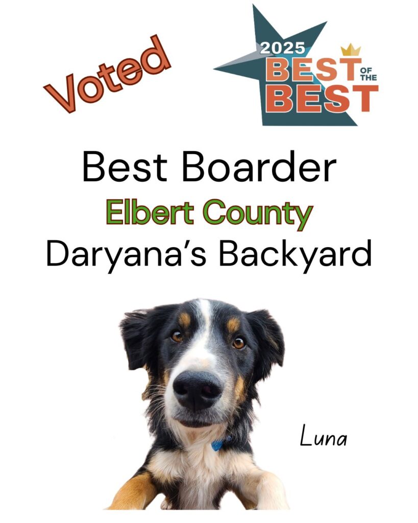Best of the Best Best Boarder Elbert County Daryana's Backyard