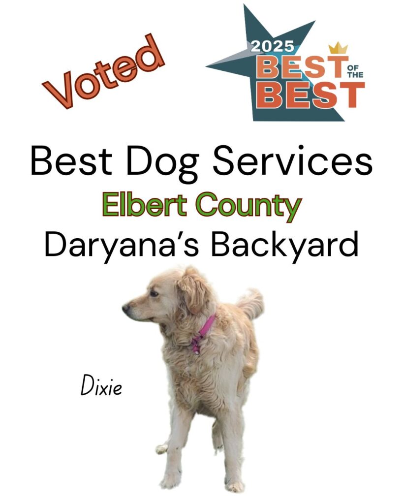 Best of the Best Best Dog Services Elbert County Daryana's Backyard