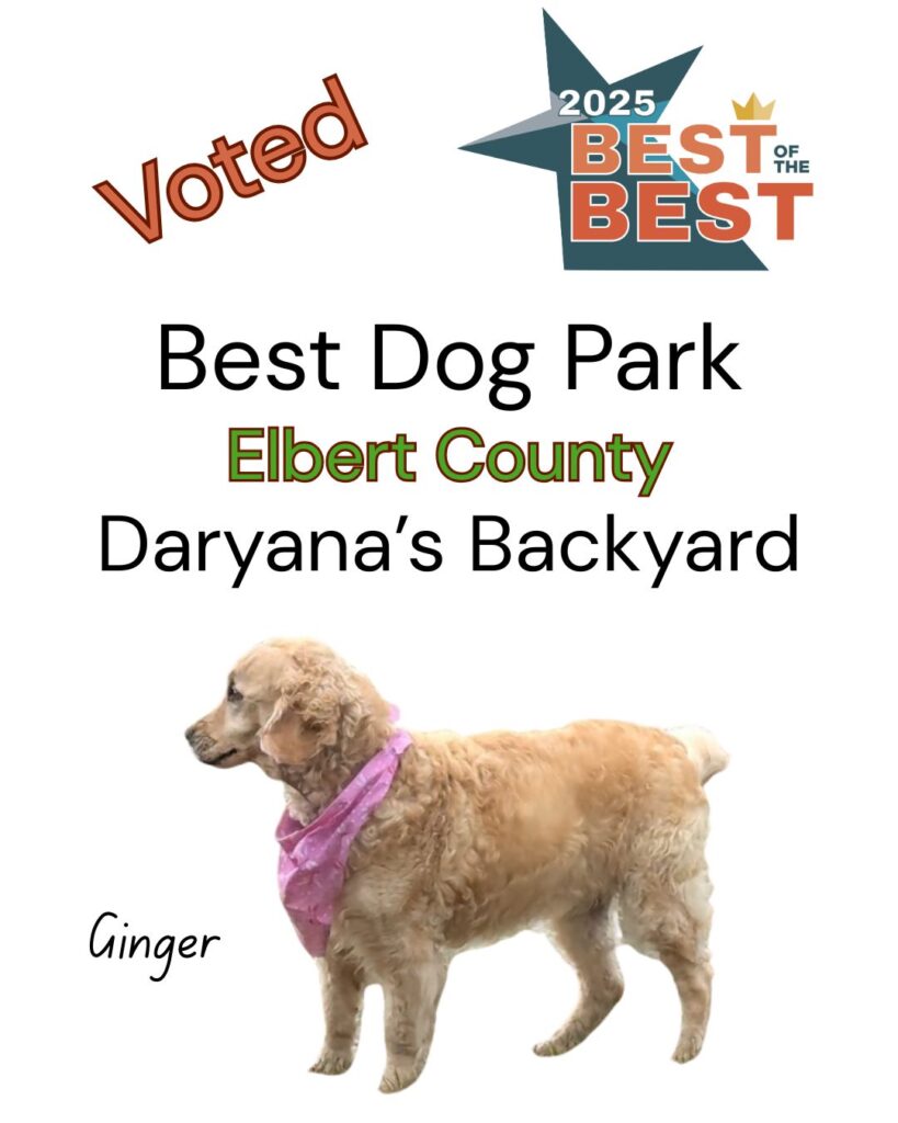 Best of the Best Best Dog Park Elbert County Daryana's Backyard
