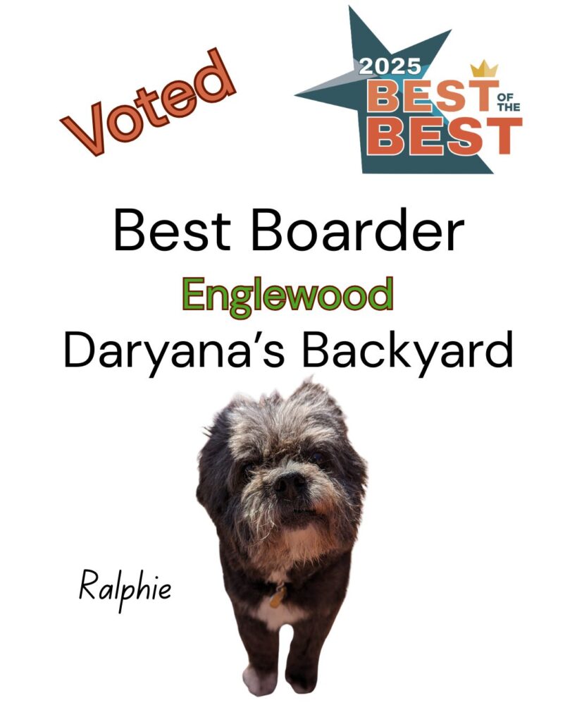 Best of the Best Best Boarder Englewood Daryana's Backyard