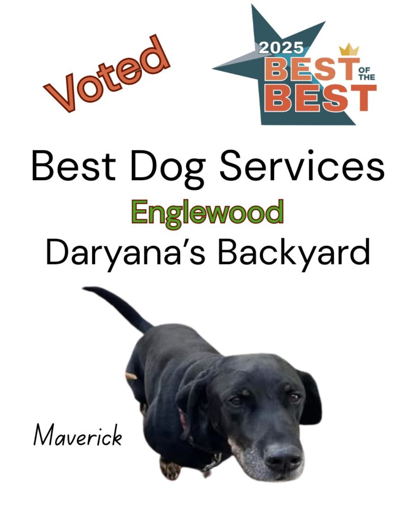 Best of the Best Best Dog Services Englewood Daryana's Backyard