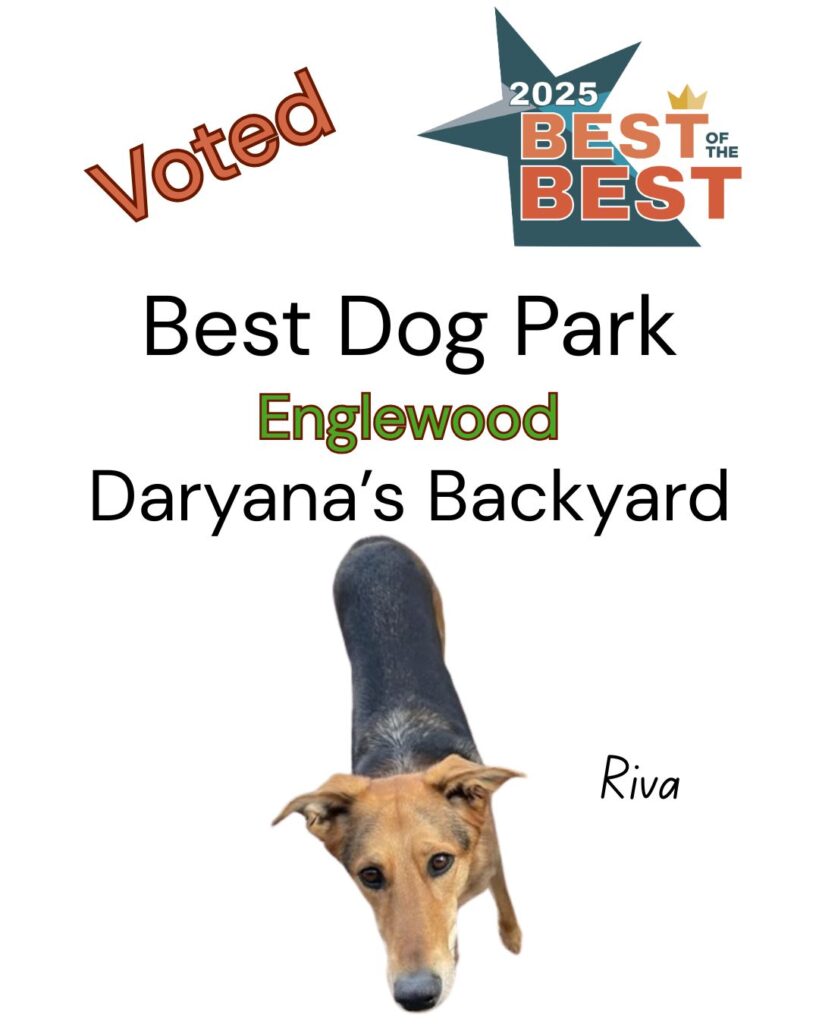 Best of the Best Best Boarder Englewood Daryana's Backyard