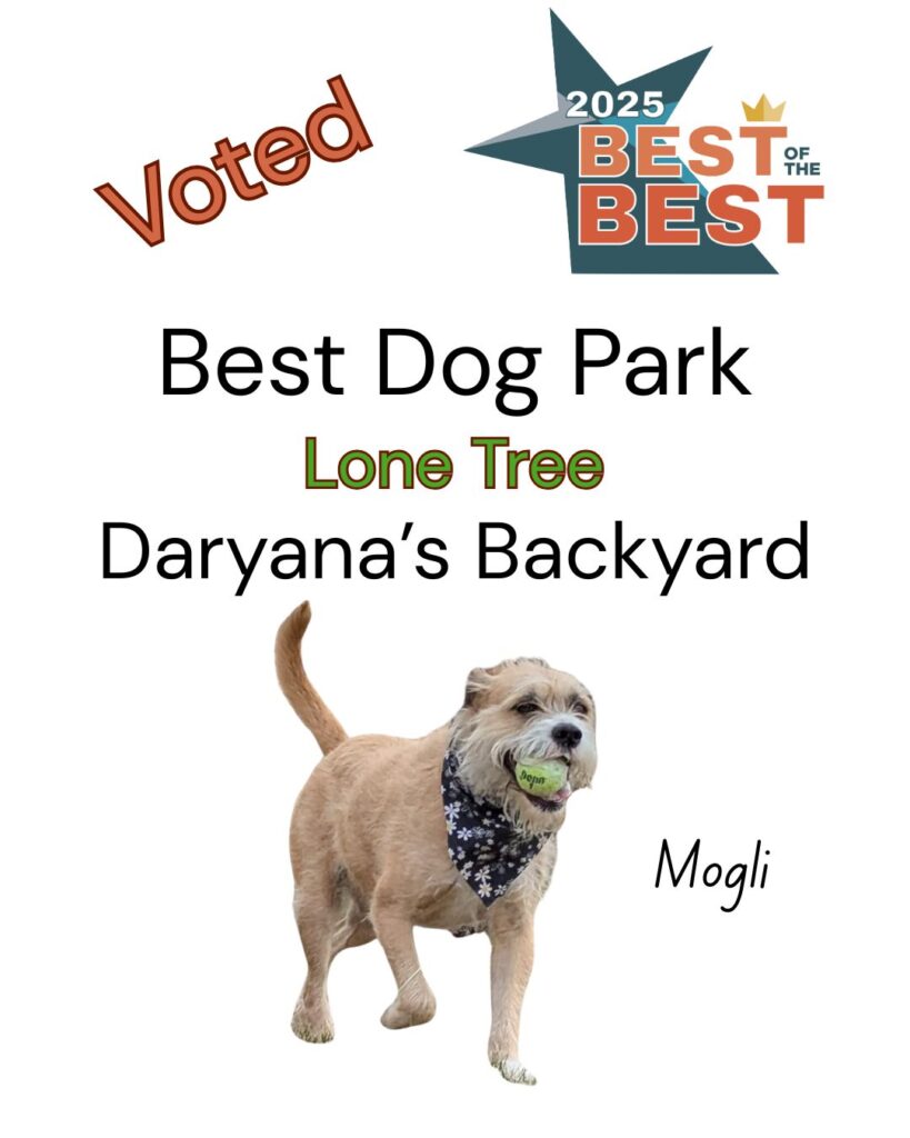 Best of the Best Best Dog Park Lone Tree Daryana's Backyard