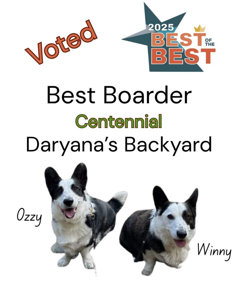 Best of the Best Best Dog Boarder Centennial Daryana's Backyard