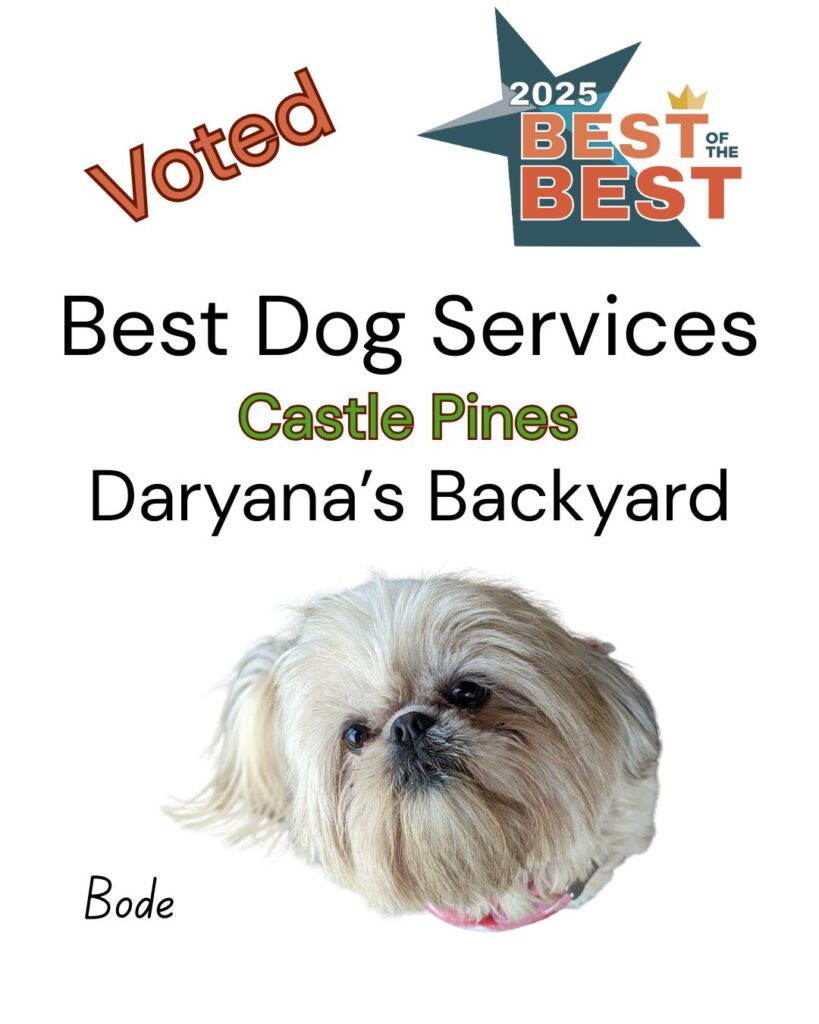 Best of the Best Best Dog Services Castle Pines Daryana's Backyard