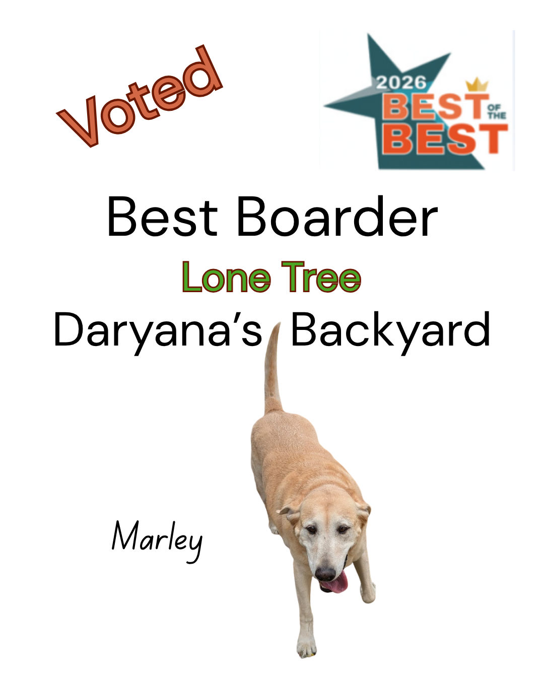Best Dog Services Lone Tree Colorado 2026 Daryana's Backyard