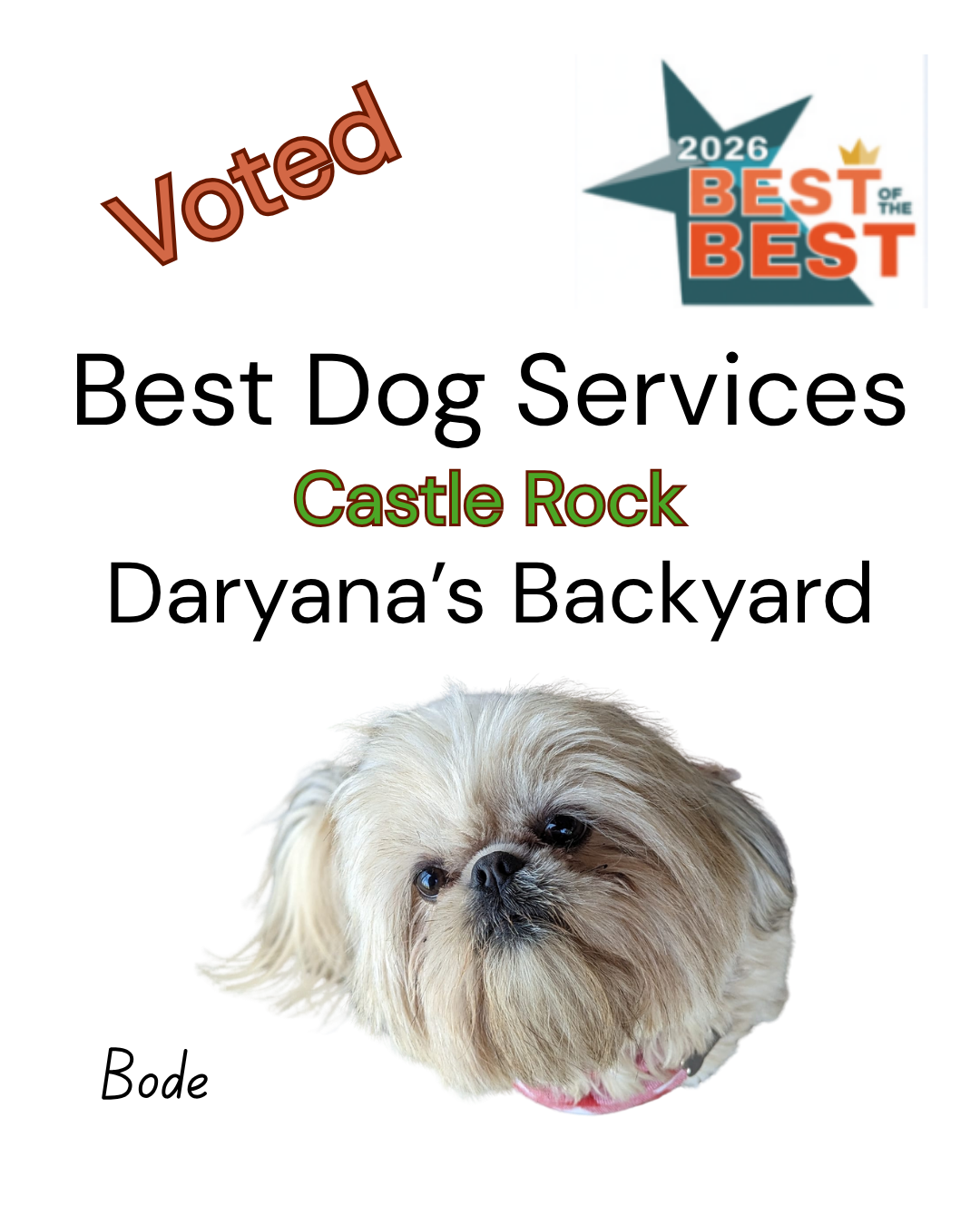 Best Dog Services Castle Rock Colorado 2026 Daryana's Backyard