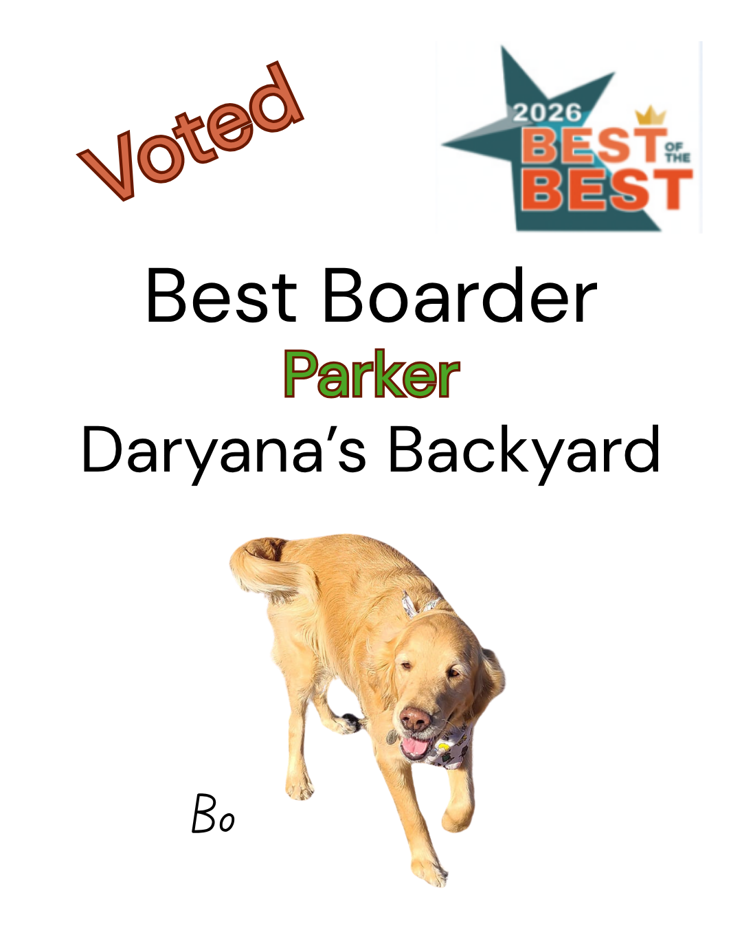 Best Dog Boarder Parker Colorado 2026 Daryana's Backyard