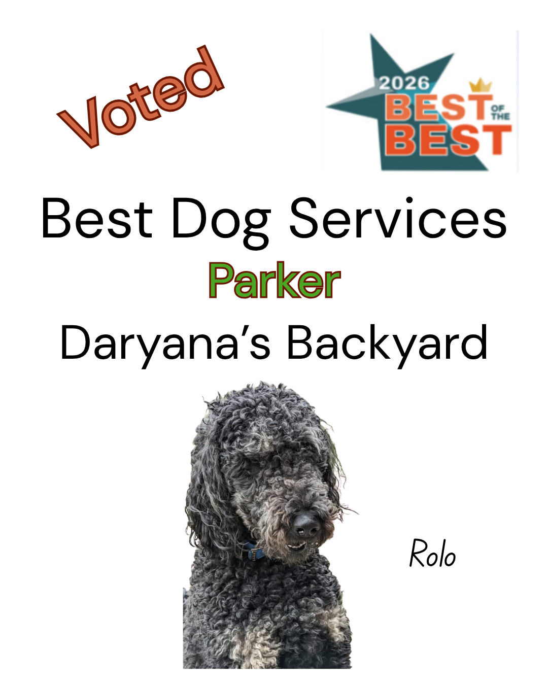 Best Dog Services Parker Colorado 2026 Daryana's Backyard