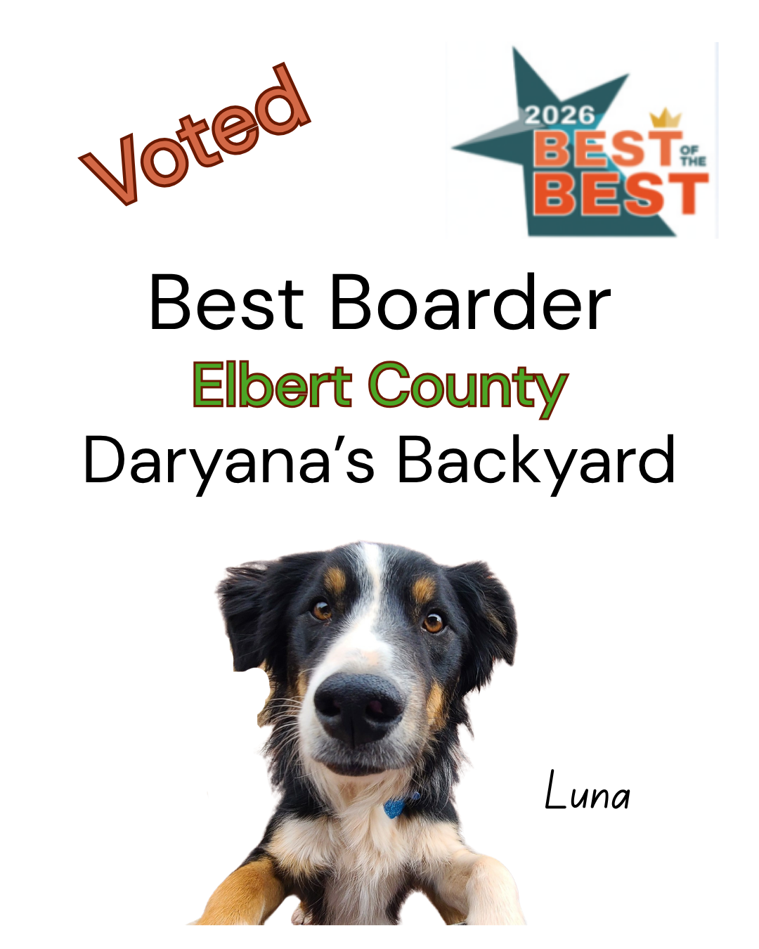 Best Boarder Award Elbert County Colorado 2026 Daryana's Backyard