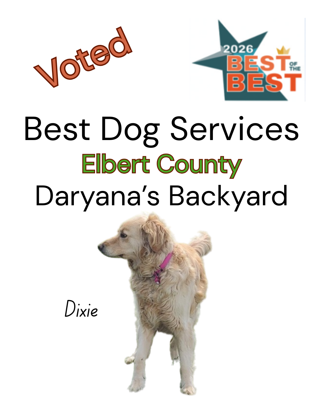Best Dog Services Award Elbert County Colorado 2026 Daryana's Backyard