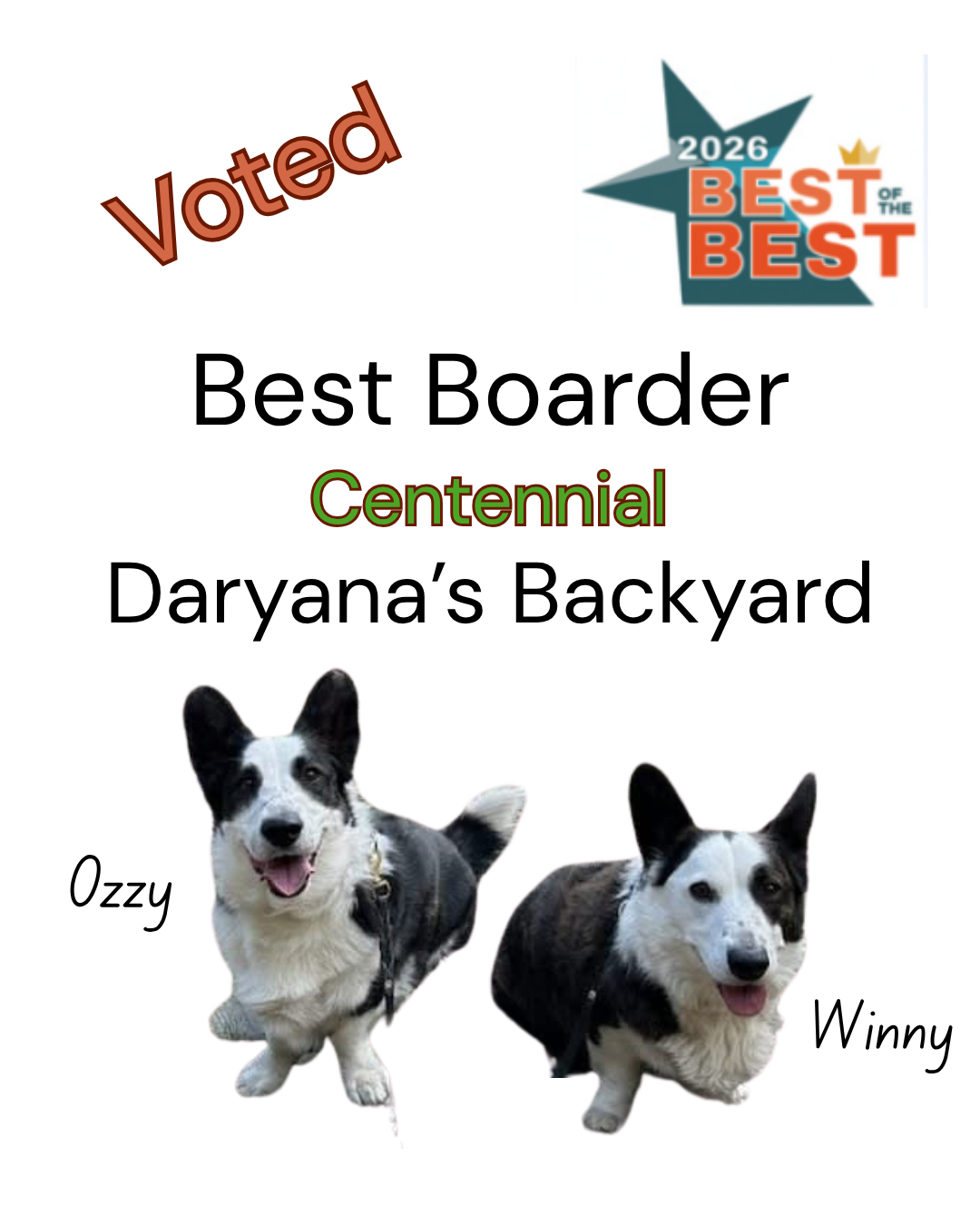 Best Boarder Award Centennial Colorado 2026 Daryana's Backyard