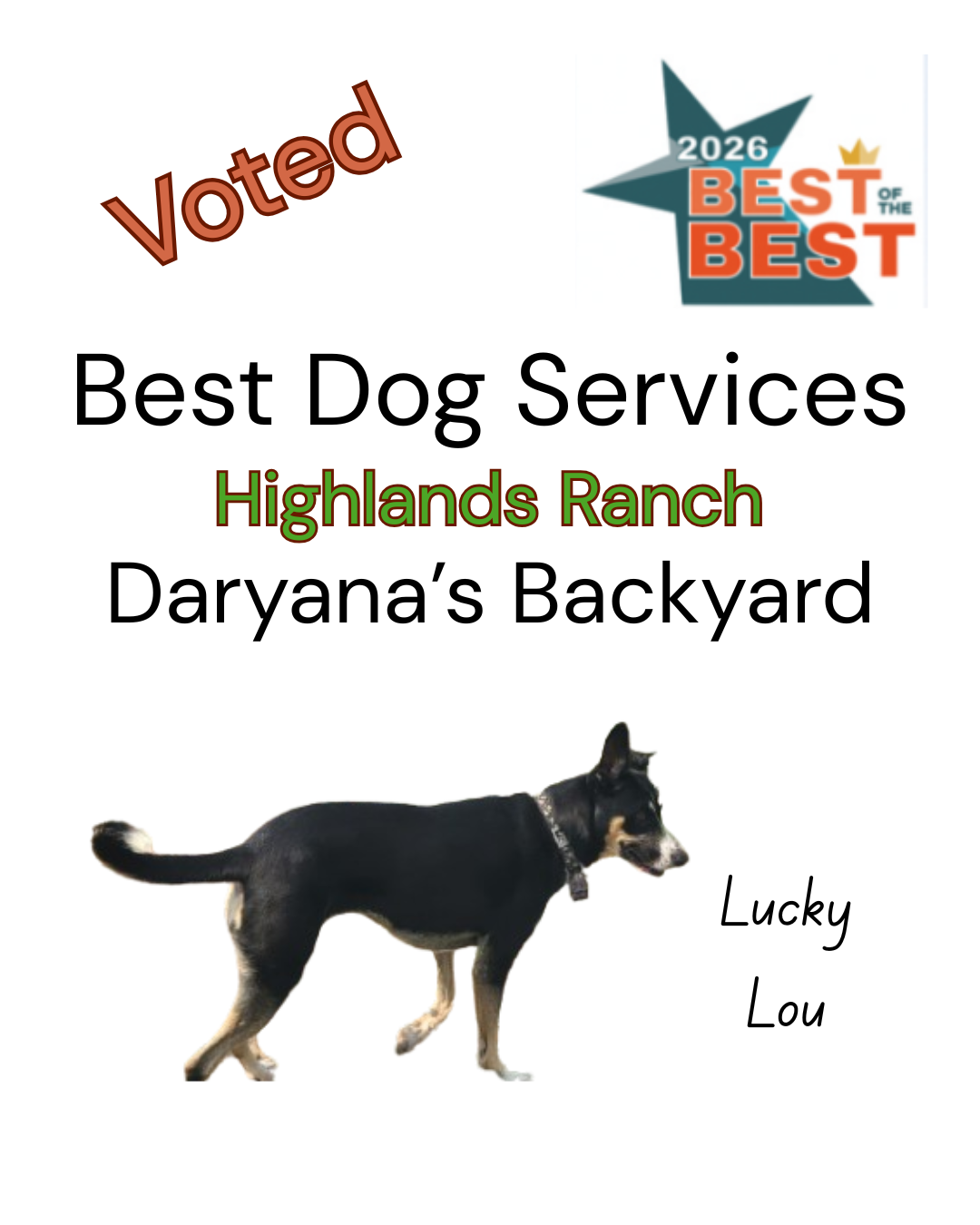 Best Dog Services in Highlands Ranch Daryana's Backyard