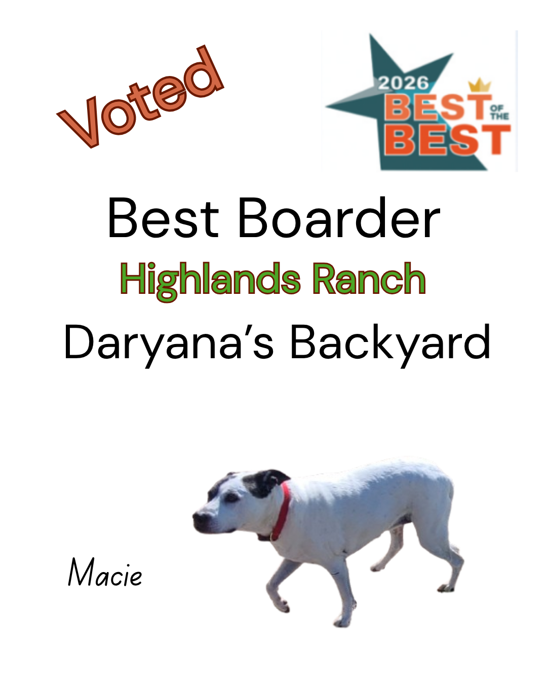 Best Dog Boarder in Highlands Ranch Daryana's Backyard